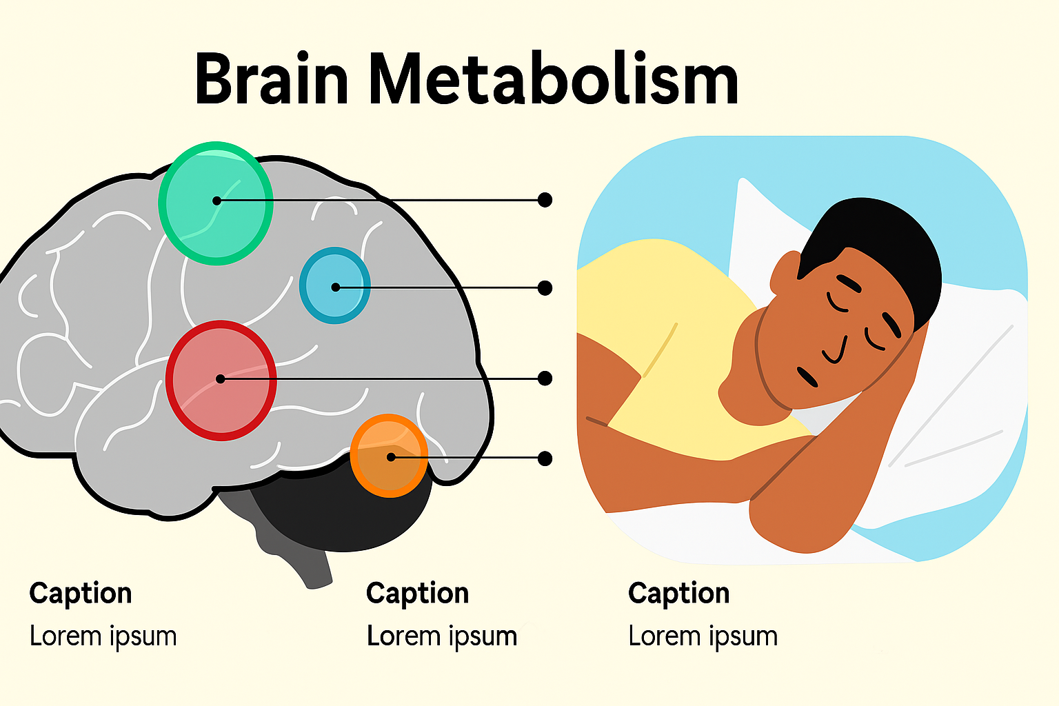Sleep pressure caused by energy overload in brain cells and neurons